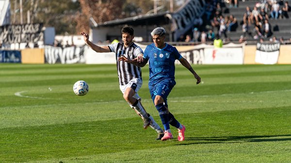 What Are Some Unusual Pets You Can Easily Find in the UK?